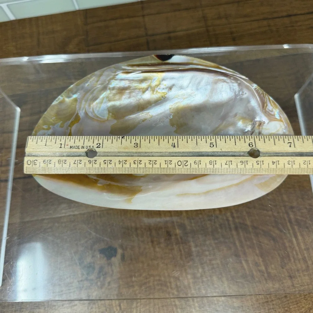 Mother of Pearl Shell Catchall Dish | Coastal Shell Craft Trinket Tray Feet